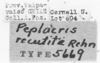 CollectionObject 1523810; 4e2a2b50-3a14-4754-8274-a5b89770b656: labels (holotype). (CollectionObject).