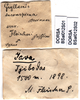 CollectionObject 1502553; ab773803-4a60-4c00-afdc-cc707a1e11cb: labels (Gryllacris inconspicua var. fleischeri). (CollectionObject).