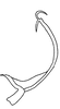 Aedeagus, lateral view on Carapona eruva (DeLong & Freytag, 1975): Male: aedeagus, lateral view. (Observation).