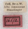CollectionObject 1566634; NMW 16572, bb069380-97bb-449f-bce5-c22c894aeb8c: labels. (CollectionObject).