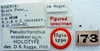 CollectionObject 1516866; 057dffdd-ce96-429e-8c55-ec5cc2836f1e: labels (holotype). (CollectionObject).