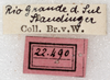 labels. Depicts CollectionObject 1566622; NMW 22490, 1a262d33-a2b7-4f15-9acf-122f0353b572, a CollectionObject.
