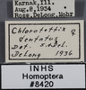 Other: !! display not done !! on Chlorotettix dentatus Sanders & DeLong, 1923: Labels. Labels for the specimen used for the lateral and dorsal view. (Observation).