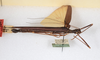 CollectionObject 1580277; 3524515b-1acd-4513-b9c9-e1d2ae267b69: copyright ANSP. female, lateral view (paratype). (CollectionObject).