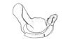 Circacris auris Ronderos & Cigliano, 1989: Fig. 35. endophallus, lateral view. (Otu).