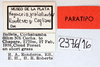 CollectionObject 1565185; f90ec6a2-9e28-4391-be81-80a4ebe692b5, MLP2376/16: labels (paratype). (CollectionObject).