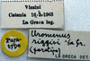 CollectionObject 1520806; 7d75b36a-7497-422a-95cd-14a5ff2f7771: labels (paratype). (CollectionObject).