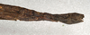 CollectionObject 1558539; NMW 666', bbd4ba18-3c66-4d99-89db-3136c4719a1e: copyright NMW, Vienna. female: end of abdomen, lateral view (syntype). (CollectionObject).