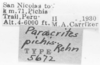 CollectionObject 1525613; fb000b7e-a3d8-4bbf-8290-ee6956a9876c: labels (holotype). (CollectionObject).