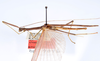 CollectionObject 1559088; ca7a40b1-8fa6-4a1b-8014-6f7d864d69e2: copyright ANSP. male, lateral view (holotype). (CollectionObject).