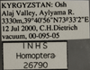 Other on Elymana emeljanovi Dworakowska, 1968: Labels. Labels for the specimen used for the dorsal, lateral and face images. (Observation).