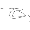 Pygofer, lateral view on Erythroneura vagabunda Knull, 1945: Pygofer (paratype), lateral view. (Observation).