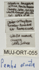 CollectionObject 1544656; e7dff819-f0b1-4d44-a3e8-603d77506e57: labels. (CollectionObject).