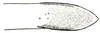 Hoplosphyrum occidentale (Scudder, 1869): Fig. 27. female, apex of ovipositor. (Otu).