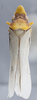 Habitus, dorsal view: !! display not done !! on Diestostemma ptolyca Distant, 1908: Dorsal. Specimen from Argentina. (Observation).