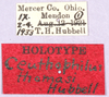 CollectionObject 1499249; 24a51e15-a1de-42b3-b6e8-b4562ae77eb5: labels (holotype). (CollectionObject).