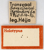 labels (holotype). Depicts CollectionObject 1538220; fd7c4925-b200-4662-a783-812db488e848, a CollectionObject.