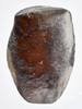 Isagoras asperus (Bellanger & Conle, 2013): copyright Philippe Lelong. egg, lateral view. (Otu).
