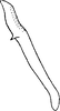Aedeagus, lateral view on Empoasca (Empoasca) armara Langlitz, 1964: Aedeagus, lateral view. (Observation).