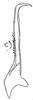Stylus: !! display not done !! on Eusceloidia v-nigrum Linnavuori, 1954: Stylus. (Observation).