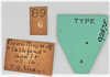 CollectionObject 1618752; dcd10f26-cdd6-4524-ac27-44ba4b9088a9: (CollectionObject).