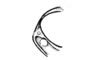 Chibchacris furcata Hebard, 1923: Fig. 10. male, apex of head, lateral view. (Otu).