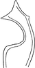 Stylus on Arboridia (Arboridia) agrillacea (Anufriev, 1969): Stylus. (Observation).