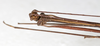CollectionObject 1558531; 19b0f613-4523-4af7-969e-1e3b2e2e2d5c: copyright MHNG Geneva. male: head & part thorax, dorsal view (holotype). (CollectionObject).