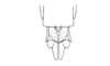Leptalacris fastigiata Descamps & Rowell, 1978: Fig. 13. female abdomen tip, ventral view. (Otu).