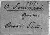 CollectionObject 1518538; e38c4f74-9a3f-49b0-815f-c032e298ab48: Image Carbonell, C.S. label (holotype of Ommexecha sommeri). (CollectionObject).