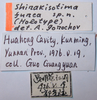 CollectionObject 1475679; ef147de6-945b-48e7-8582-95547db27a17: labels (holotype). (CollectionObject).