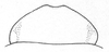 Ceuthophilus (Ceuthophilus) tenebrarum Scudder, 1894: Fig. 825. (female) subgenital plate. (Otu).