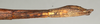 CollectionObject 1591103; 79b660e6-31fe-432a-b40e-faf8a643cf62: copyright NMW, Vienna. female: end of abdomen, lateral view (paralectotype). (CollectionObject).;CollectionObject 1591104; 99601963-2824-42d3-9a8a-09c9245ab290: copyright NMW, Vienna. female: end of abdomen, lateral view (paralectotype). (CollectionObject).
