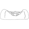 Abdomen, sternal apodemes, ventral view on Arboridia (Arboridia) sexprocessa Song, Li & Dietrich, 2016: Abdomen, sternal apodemes, ventral view. (Observation).