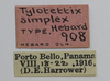CollectionObject 1523141; 4bac132d-1d8e-4f7f-a767-b091821d1a7f: labels (holotype). (CollectionObject).