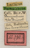 CollectionObject 1592229; 477c54c6-352a-401b-850c-1c84775f5905: labels. (CollectionObject).