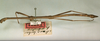 CollectionObject 1557684; 6a1154d6-610e-44fe-bc01-38dc6433432e: copyright NHRS, Stockholm. male, lateral view (holotype). (CollectionObject).