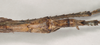 CollectionObject 1563490; de07c452-751f-4685-9c42-1435f6cd9768: copyright natural History Museum, London. (CollectionObject).;CollectionObject 1563491; 50291e33-5ce1-404b-be41-102db5fb136b: copyright natural History Museum, London. (CollectionObject).