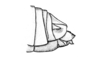 Hazelacris nigrovittatus Ronderos, 1981: Fig. 22. female abdomen tip, lateral view. (Otu).