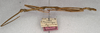 CollectionObject 1557353; 2427746b-ea8b-405a-ace7-e5d938f24376: copyright NMW, Vienna. male, lateral view (holotype). (CollectionObject).