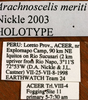 CollectionObject 1533243; e1951ace-829b-45be-a619-4d2554000369: labels (holotype). (CollectionObject).