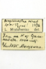 CollectionObject 1593083; 66fd689f-ef3f-461b-b1a4-4dddd4e7d77c: male, labels (allotype). (CollectionObject).