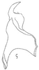 Stylus: !! display not done !! on Menosoma Ball, 1931: Stylus. (Observation).