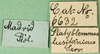CollectionObject 1501817; f7aca8c2-1495-485d-b244-f673c58ae65a: labels. (CollectionObject).