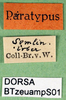 CollectionObject 1502454; 02321fdc-0c83-4931-9ff5-9f10a4472b2b: labels (syntype). (CollectionObject).