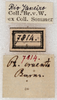 labels. Depicts CollectionObject 1566599; NMW 7814, 846642ec-c32a-4565-9963-2b7fa74ecbd9, a CollectionObject.