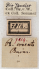 CollectionObject 1566599; NMW 7814, 846642ec-c32a-4565-9963-2b7fa74ecbd9: labels. (CollectionObject).