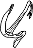 Aedeagus, lateral view on Anufrievia quadrata Cao & Zhang, 2018: (Observation).