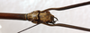 CollectionObject 1563976; 411429b1-33c4-4c19-96ec-deefb4e0c3ec: copyright J. Bresseel. male: head, dorsal view (holotype). (CollectionObject).
