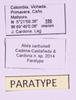CollectionObject 1584821; a0bb6b71-56f0-4fb4-b4ce-f93fc478206a: labels (paratype). (CollectionObject).
